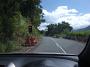 tamworth 010